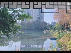 -四海公园(南山区)