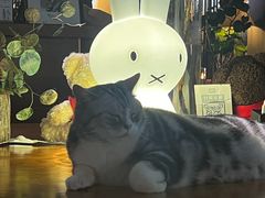 -咖法森林·咖啡  酒吧(天河店)