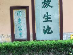 -范蠡湖公园