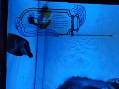 -横店影视城梦幻谷园区