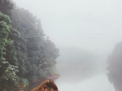 -重庆雨台山风景区