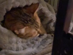 -H立方实景剧情密室(天河旗舰店)