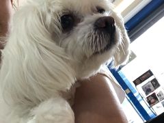 -贝康宠物医院·犬猫全科·小动物特色诊疗中心(东环路店)
