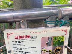 -广州神农草堂中医药博物馆