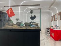 -养月堂中医养生月子会所(中心妇产店)