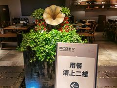 -同仁四季椰子鸡(罗湖国贸店)