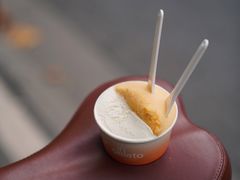 柿子Persimmons-Dip in Gelato(富民路店)
