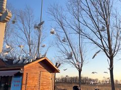 -天津妈祖文化园