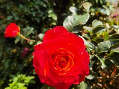 -人民公园(罗湖区)