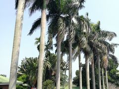 -侯臣咖啡文化村