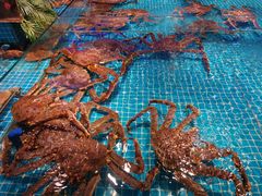 -驻海渔市(置信店)