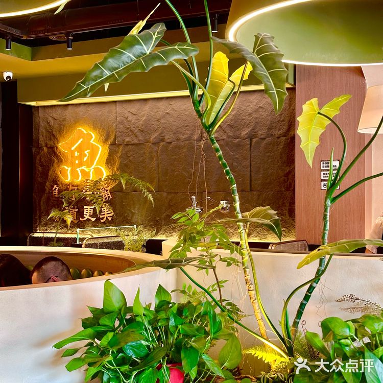 成都终于也有了！！可不是普通烤鱼！！！