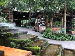 -青城甲(青城山店)