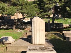 -奥林匹亚宙斯神庙