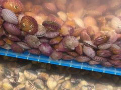 -港畔赶海蒸汽海鲜烧烤自助(仙螺岛店)