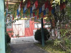 -紫竹院公园冰场