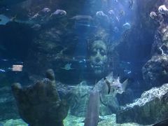 -暹罗海洋世界
