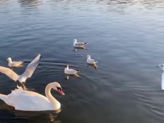 -海德公园