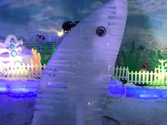 -世界之窗阿尔卑斯冰雪世界