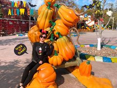 -大连海昌发现王国主题公园