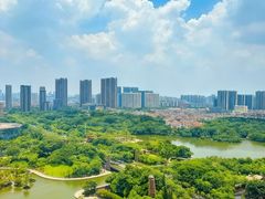 -安乐茶饭·手工素菜·高空景观餐厅(千灯湖店)