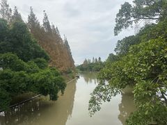 -江心屿景区