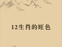 -观心实验室·心理咨询(上海旗舰店)