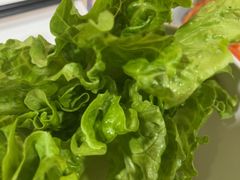 -燚青春东北泥炉烤肉(百合店)