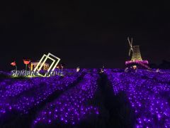 -大塘金香草谷