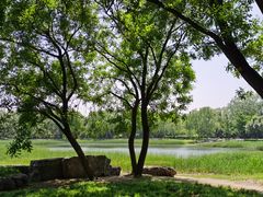 -北坞公园