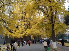 -四川大学华西医院-地下停车场