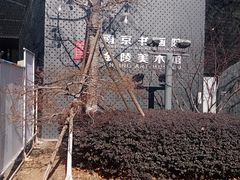 -南京书画院金陵美术馆