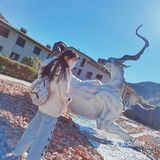玊长城探寻东方神兽 | 山海经展览