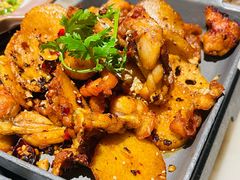 -佬肥猫(国华广场店)