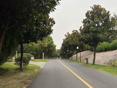 -天目湖涵田半山温泉