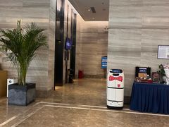 -凯里亚德酒店(深圳北站大浪商业中心店)