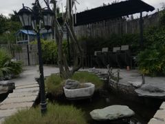 -花溪雨·森林餐厅(石基店)