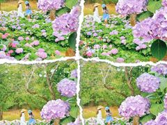 -名花谷生态庄园