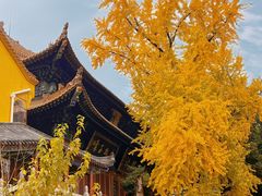 -宝通禅寺