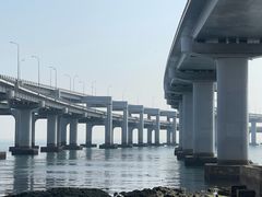 -星海湾跨海大桥