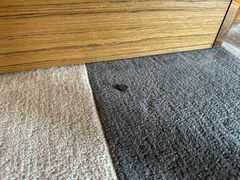 -珠海中海雅高铂尔曼酒店