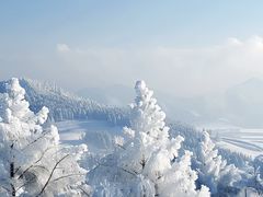 -亚布力新体委滑雪场