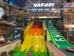 点击看大图 -卡通尼·Safari非洲探索乐园·生日会(金桥国际商业广场店)