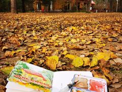 -国家植物园南园