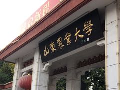 -山东农业大学(岱宗校区)