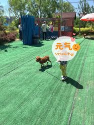 -萌宠亲子动物乐园(槐房万达店)