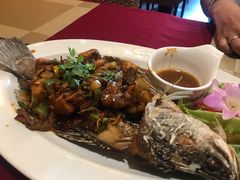 -Daddy Nimman Chiang Mai