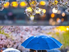 -西北湖绿化广场