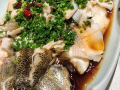 -龙猫意杯花园餐厅(芙蓉湖店)