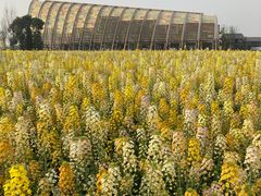 -中国天府农业博览园